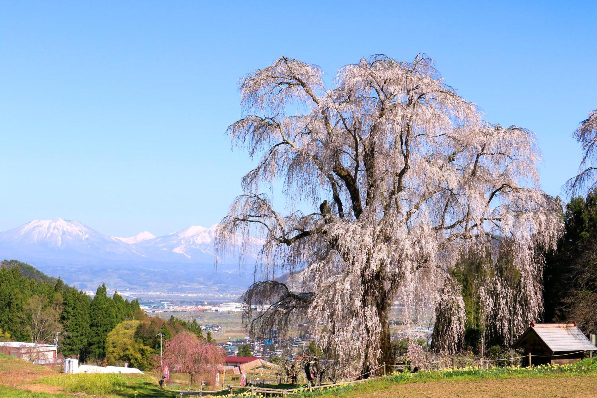 Fujiiso (Adults Only) Hotel Takayama  Екстериор снимка
